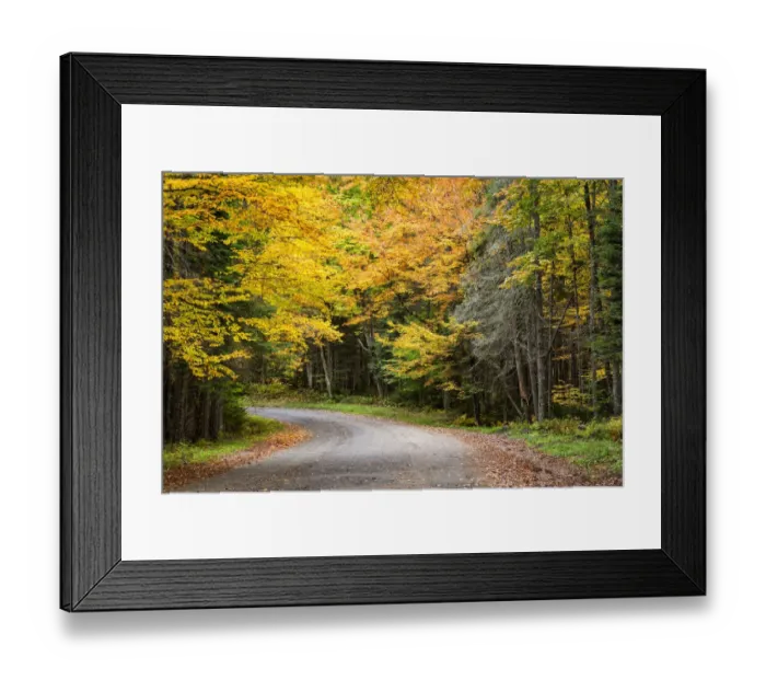 Framed Print : USA, New York, Adirondacks. Long Lake, foliage-covered road to Forked Lake