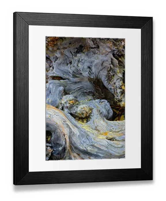 Framed Print : Abstract pattern in driftwood, Bandon Beach, Oregon Framed Print : Abstract pattern in driftwood, Bandon Beach, Oregon
