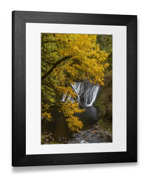 Framed Print : USA, Oregon, Silver Falls State Park. Lower South Falls waterfall landscape Framed Print : USA, Oregon, Silver Falls State Park. Lower South Falls waterfall landscape