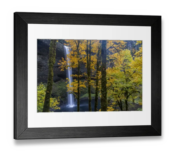Framed Print : USA, Oregon, Silver Falls State Park. Tall waterfall and forest in autumn Framed Print : USA, Oregon, Silver Falls State Park. Tall waterfall and forest in autumn