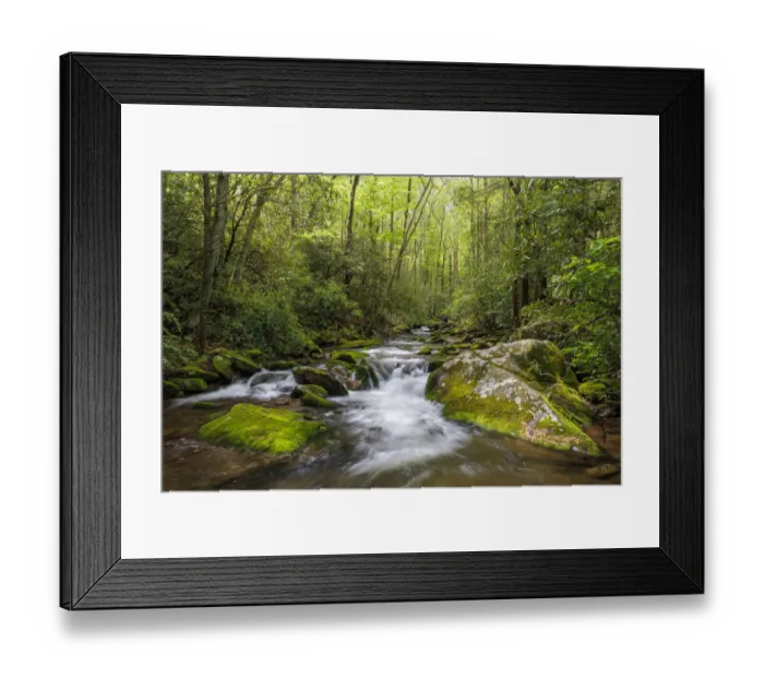 Framed Print : Cascading mountain stream, Great Smoky Mountains National Park, Tennessee, North Carolina