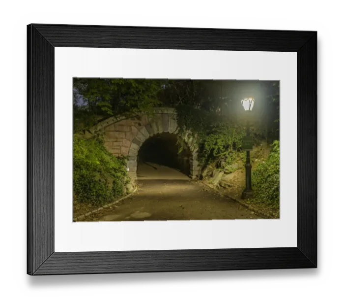 Framed Print : USA, New York. Central Park Framed Print : USA, New York. Central Park