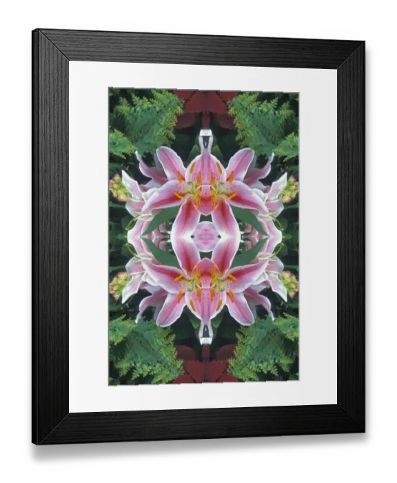 Framed Print : Flipped and reflected Stargazer Lilies, Cincinnati, Ohio