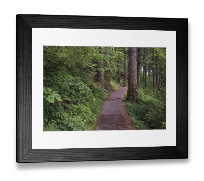 Framed Print : Paved pathway through forest, Columbia River Gorge, Oregon Framed Print : Paved pathway through forest, Columbia River Gorge, Oregon