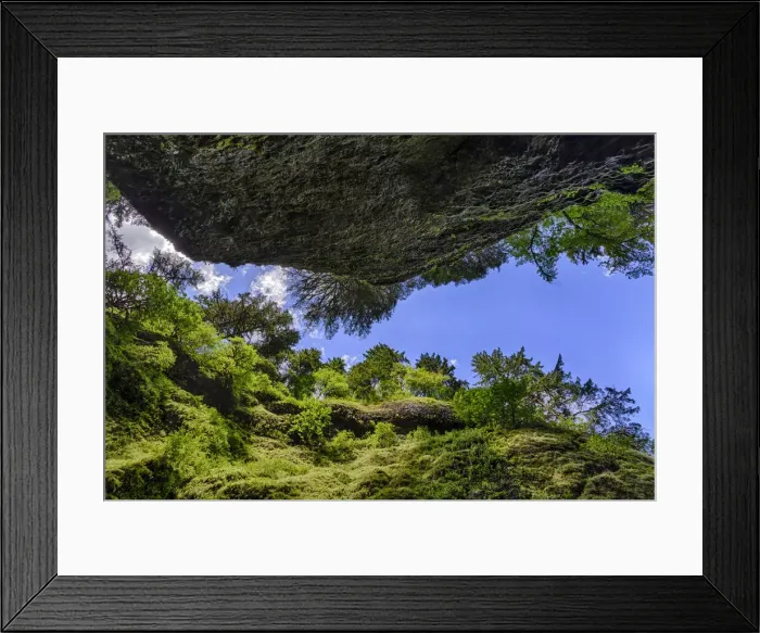 Framed Print : Upward view from bottom of Oneonta Gorge, Columbia River Gorge National Scenic Area, Oregon