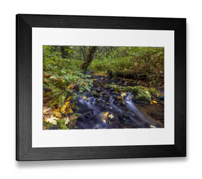 Framed Print : Munson Creek Falls State Natural Site in autumn near Tillamook, Oregon, USA Framed Print : Munson Creek Falls State Natural Site in autumn near Tillamook, Oregon, USA