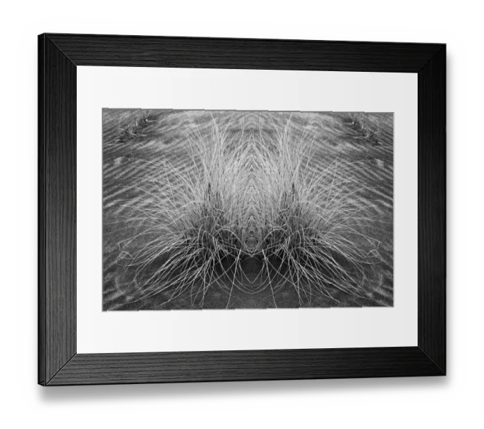 Framed Print : Grass pattern reflected and flipped, Bandon, Oregon Framed Print : Grass pattern reflected and flipped, Bandon, Oregon