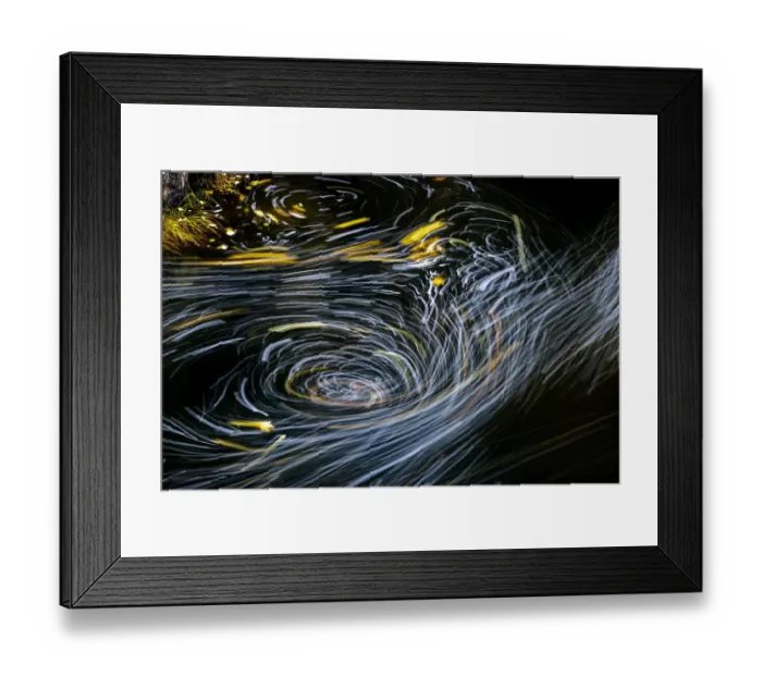 Framed Print : Eddy forms swirling patterns in the Nehalem River in autumn in the Tillamook State Forest, Oregon, USA Framed Print : Eddy forms swirling patterns in the Nehalem River in autumn in the Tillamook State Forest, Oregon, USA