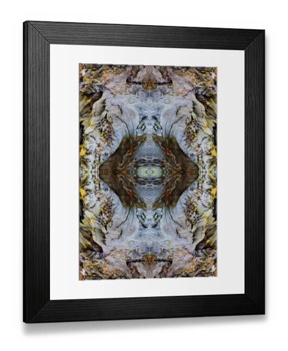 Framed Print : Abstract pattern in driftwood, Bandon Beach, Oregon Framed Print : Abstract pattern in driftwood, Bandon Beach, Oregon