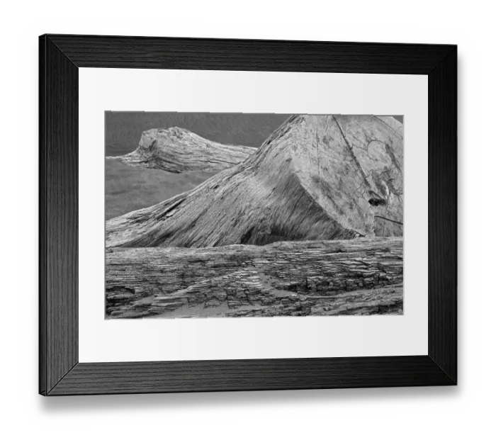 Framed Print : Eroded driftwood on beach, Bandon Beach, Oregon Framed Print : Eroded driftwood on beach, Bandon Beach, Oregon