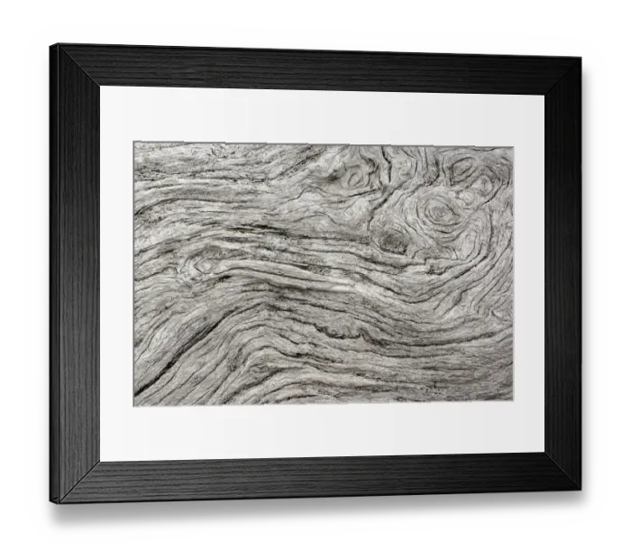 Framed Print : Geometric pattern in eroded driftwood, Bandon Beach, Oregon Framed Print : Geometric pattern in eroded driftwood, Bandon Beach, Oregon