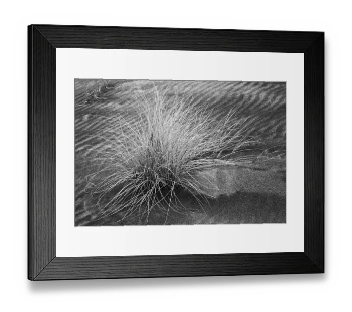 Framed Print : Grass pattern, Bandon, Oregon Framed Print : Grass pattern, Bandon, Oregon