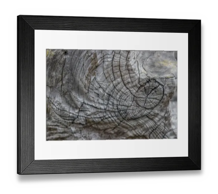 Framed Print : Usa, Oregon, Bandon. Bandon Beach, Closeup of Wood on the Beach Framed Print : Usa, Oregon, Bandon. Bandon Beach, Closeup of Wood on the Beach