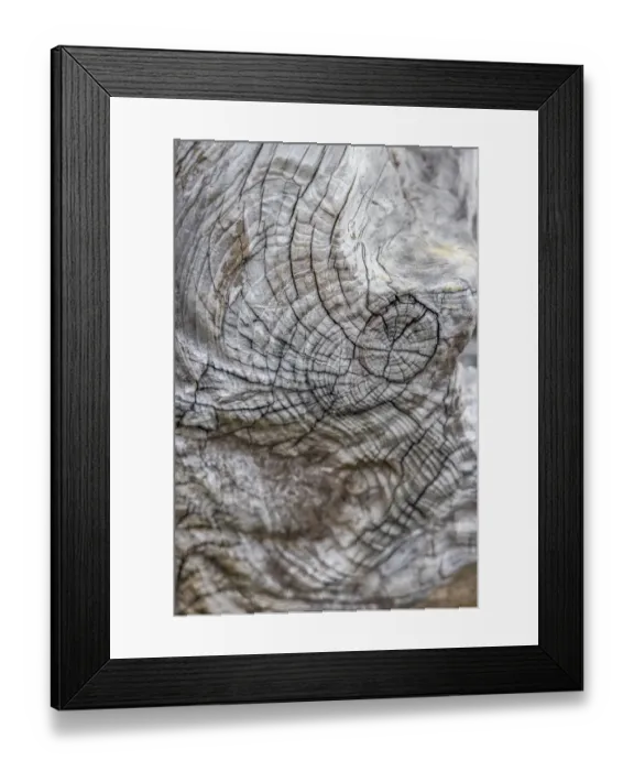 Framed Print : Usa, Oregon, Bandon. Bandon Beach, Closeup of Wood on the Beach Framed Print : Usa, Oregon, Bandon. Bandon Beach, Closeup of Wood on the Beach