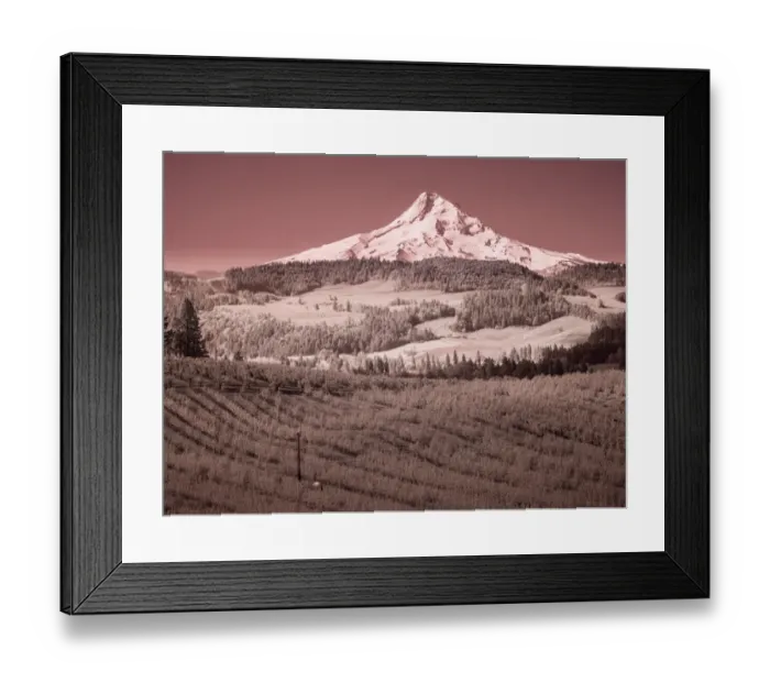 Framed Print : USA, Oregon, Columbia Gorge. Infrared of spring orchards in bloom and Mount Hood Framed Print : USA, Oregon, Columbia Gorge. Infrared of spring orchards in bloom and Mount Hood