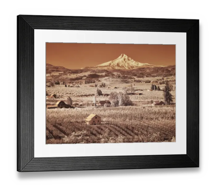 Framed Print : USA, Oregon, Columbia Gorge. Infrared of spring orchards in bloom and Mount Hood Framed Print : USA, Oregon, Columbia Gorge. Infrared of spring orchards in bloom and Mount Hood