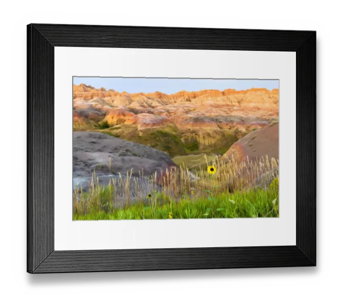 Framed Print : A painterly image of softer hoodoos set against a row of wildflowers and grass Framed Print : A painterly image of softer hoodoos set against a row of wildflowers and grass