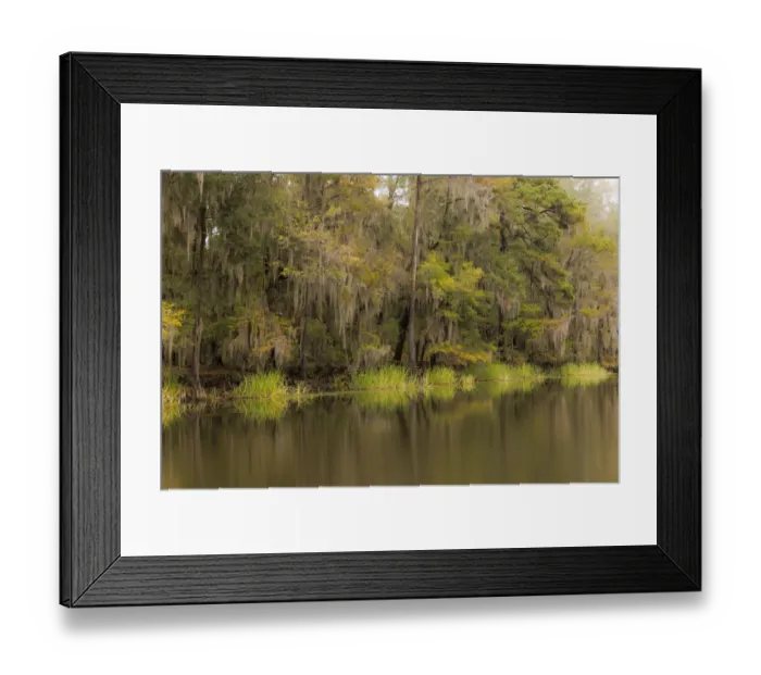 Framed Print : Cypress trees and Spanish moss lining shoreline of Caddo Lake, Uncertain, Texas