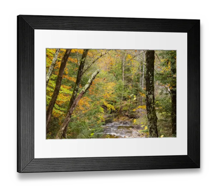 Framed Print : USA, Vermont, Stowe, Sterling Valley tributary to Little River in fall foliage