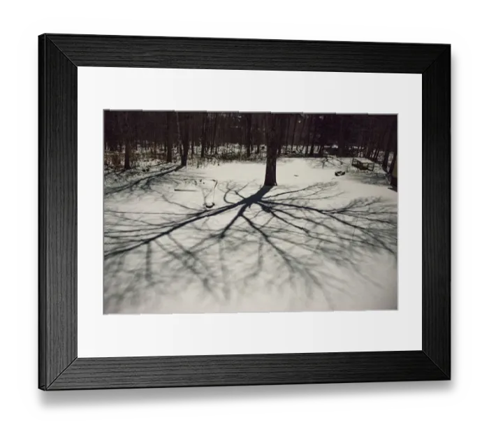 Framed Print : USA, Vermont, Morrisville, moon shadow of ash tree on snow-covered lawn Framed Print : USA, Vermont, Morrisville, moon shadow of ash tree on snow-covered lawn