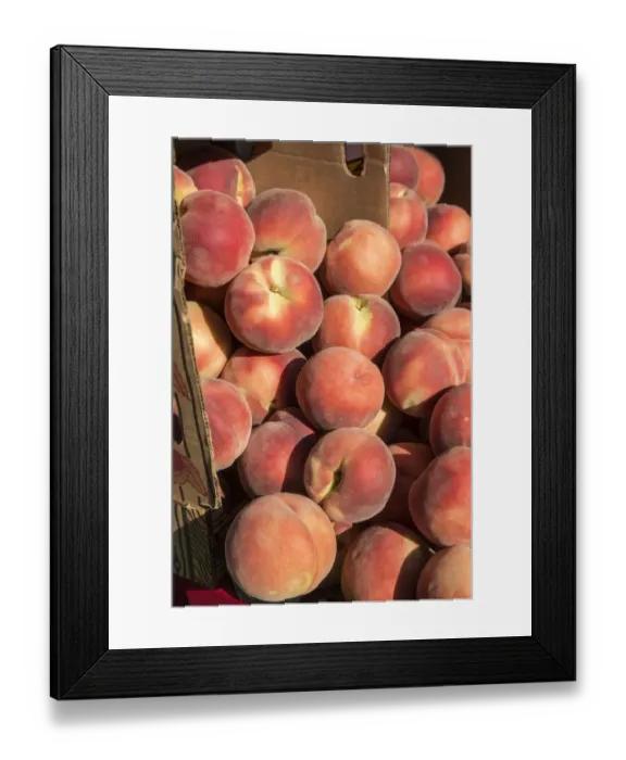 Framed Print : Issaquah, Washington State, USA. Boxes of White Lady peaches for sale at a Farmers Market Framed Print : Issaquah, Washington State, USA. Boxes of White Lady peaches for sale at a Farmers Market