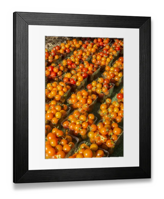 Framed Print : Issaquah, Washington State, USA. Pints of cherry tomatoes for sale at a Farmers Market