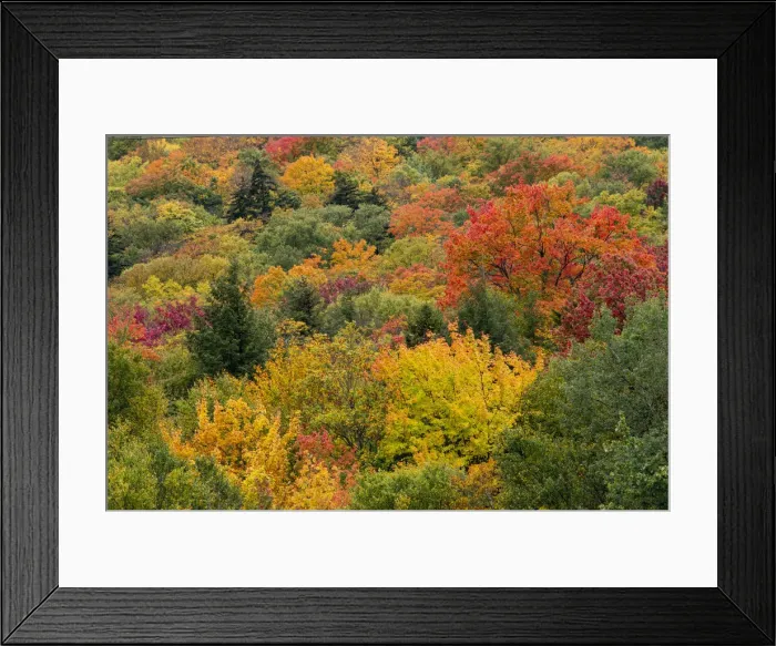 Framed Print : USA, Vermont, New England, Stowe Mt. Mansfield parking lot view