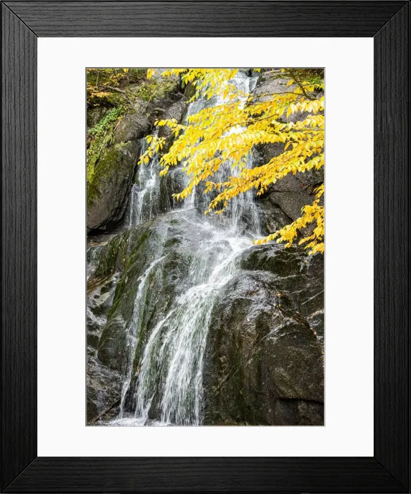 Framed Print : USA, Vermont, Fall foliage in Mad River Valley along trail to Warren Falls