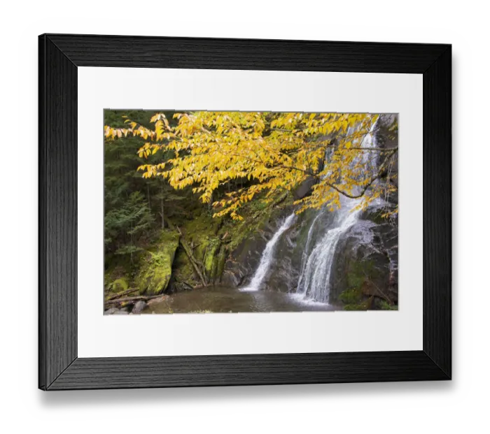 Framed Print : USA, Vermont, Fall foliage in Mad River Valley along trail to Warren Falls Framed Print : USA, Vermont, Fall foliage in Mad River Valley along trail to Warren Falls