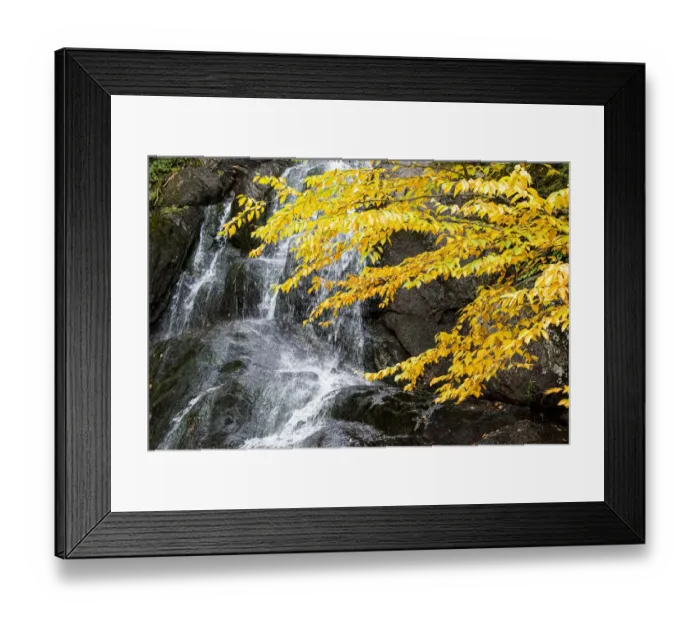 Framed Print : USA, Vermont, Fall foliage in Mad River Valley along trail to Warren Falls Framed Print : USA, Vermont, Fall foliage in Mad River Valley along trail to Warren Falls