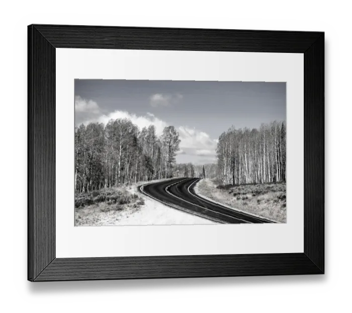 Framed Print : USA, Utah, west of Woodruff aspen trees along highway 39