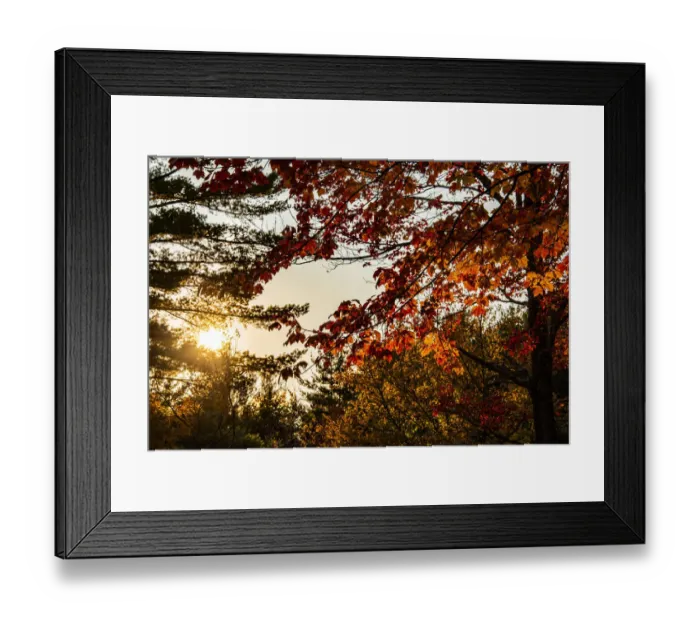 Framed Print : USA, Vermont, Morrisville, Jopson Lane. Fall foliage Framed Print : USA, Vermont, Morrisville, Jopson Lane. Fall foliage