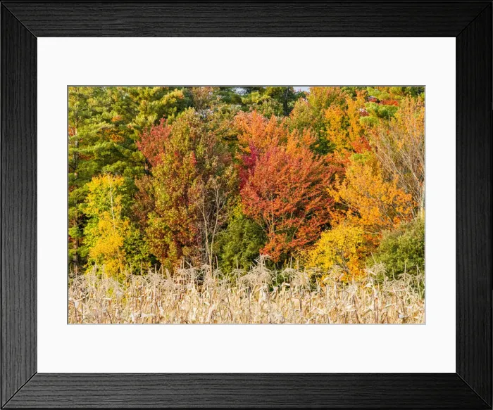Framed Print : USA, Vermont, Morrisville. Lyle McKee Road, fall foliage