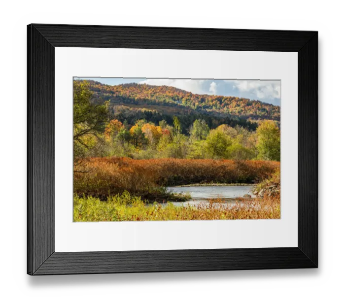 Framed Print : USA, Vermont, Stowe. Fall foliage along Little River Framed Print : USA, Vermont, Stowe. Fall foliage along Little River