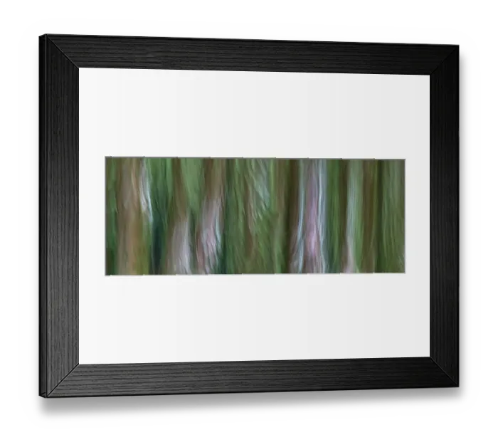 Framed Print : USA, Washington State, Seabeck. Forest fantasy panoramic in Guillemot Cove Nature Preserve Framed Print : USA, Washington State, Seabeck. Forest fantasy panoramic in Guillemot Cove Nature Preserve