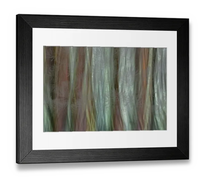 Framed Print : USA, Washington State, Seabeck. Forest fantasy composite in Guillemot Cove Nature Preserve Framed Print : USA, Washington State, Seabeck. Forest fantasy composite in Guillemot Cove Nature Preserve