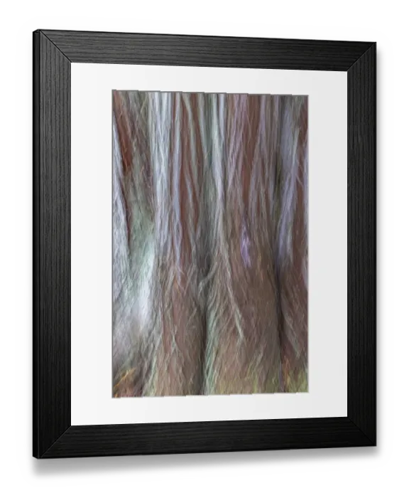 Framed Print : USA, Washington State, Seabeck. Forest fantasy composite in Guillemot Cove Nature Preserve Framed Print : USA, Washington State, Seabeck. Forest fantasy composite in Guillemot Cove Nature Preserve