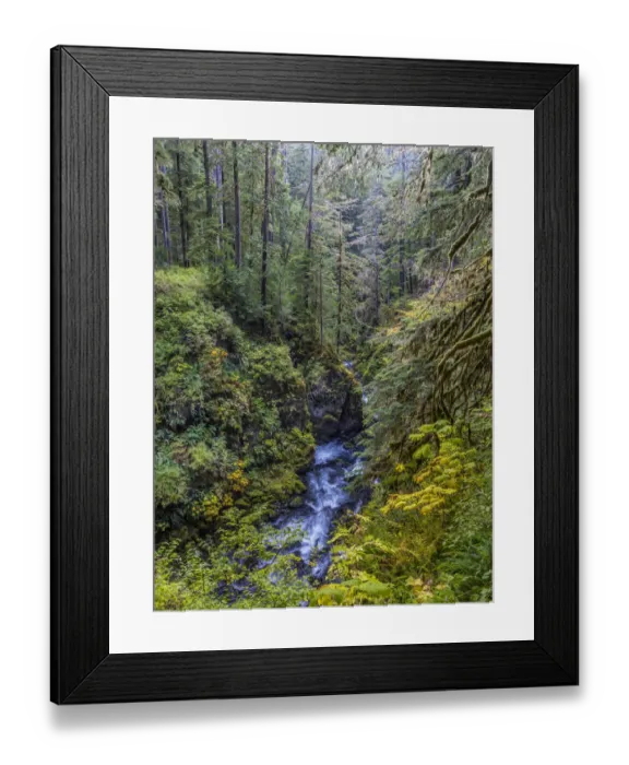 Framed Print : USA, Washington State, Olympic National Park. The Sol Duc River runs through forest Framed Print : USA, Washington State, Olympic National Park. The Sol Duc River runs through forest