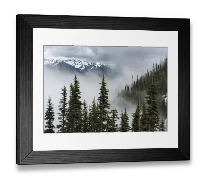 Framed Print : USA, Washington State, Olympic National Park, Hurricane Ridge. Fog bathes peaks and forest along Hurricane Ridge Road Framed Print : USA, Washington State, Olympic National Park, Hurricane Ridge. Fog bathes peaks and forest along Hurricane Ridge Road