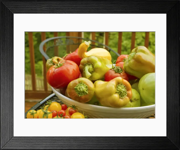 Framed Print : Sammamish, Washington State, USA. Bowl of fresh produce, including red tomatoes, Gypsy hybrid sweet peppers, summer crookneck squash and pears with another small bowl of cherry tomatoes, on a metal outdoor table Framed Print : Sammamish, Washington State, USA. Bowl of fresh produce, including red tomatoes, Gypsy hybrid sweet peppers, summer crookneck squash and pears with another small bowl of cherry tomatoes, on a metal outdoor table