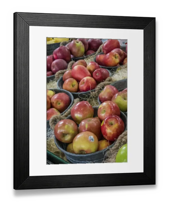 Framed Print : Wenatchee, Washington State, USA. Refrigerated display case of freshly harvested locally grown Fuji and other apples for sale at a produce stand
