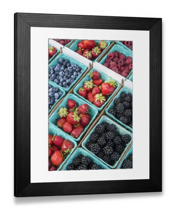 Framed Print : Issaquah, Washington State, USA. Pints of freshly harvested strawberries, blueberries, raspberries and blackberries for sale at a Farmers Market Framed Print : Issaquah, Washington State, USA. Pints of freshly harvested strawberries, blueberries, raspberries and blackberries for sale at a Farmers Market