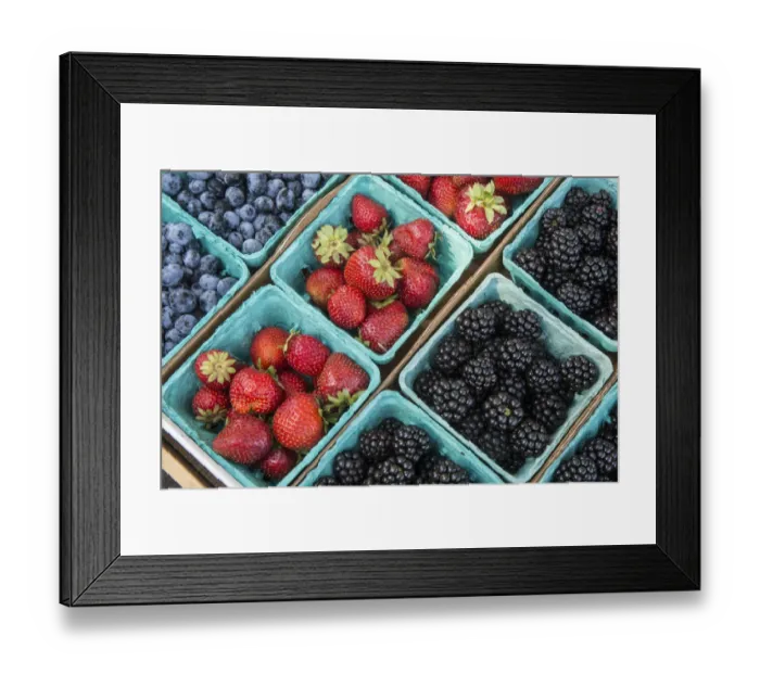 Framed Print : Issaquah, Washington State, USA. Pints of freshly harvested strawberries, blueberries and blackberries for sale at a Farmers Market Framed Print : Issaquah, Washington State, USA. Pints of freshly harvested strawberries, blueberries and blackberries for sale at a Farmers Market