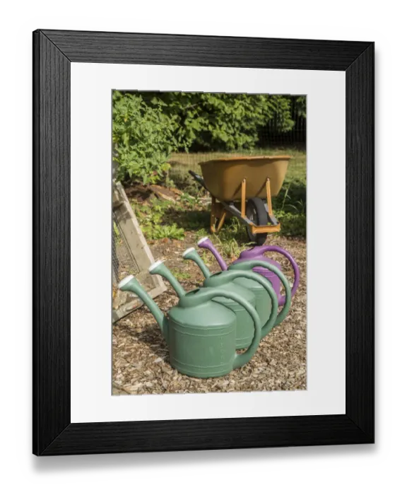 Framed Print : Issaquah, Washington State, USA. Row of plastic watering cans for hand-watering a garden Framed Print : Issaquah, Washington State, USA. Row of plastic watering cans for hand-watering a garden