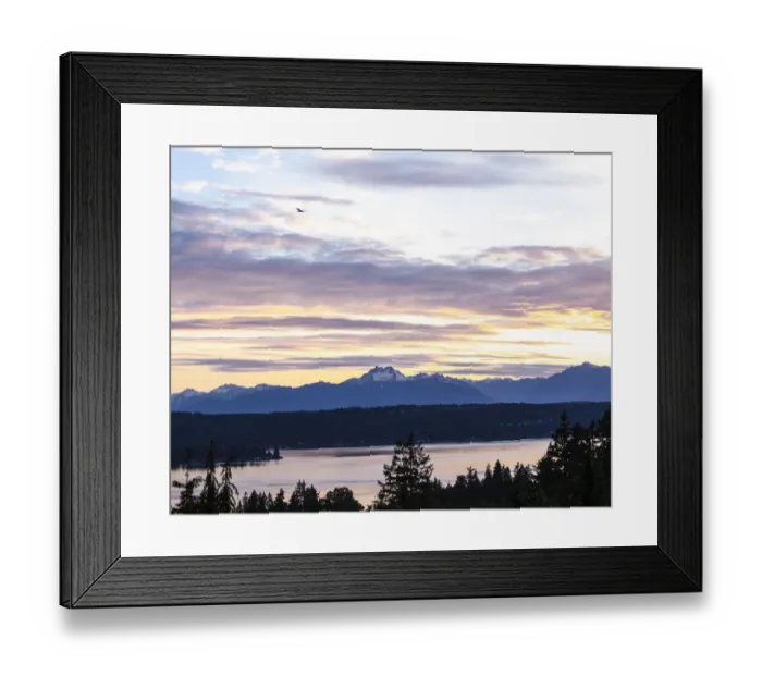 Framed Print : Bremerton, Washington State, Olympic Mountains, Puget Sound