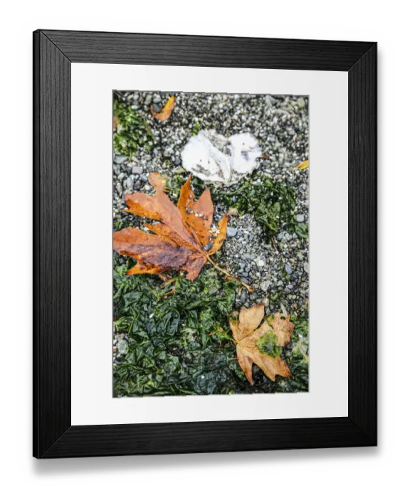 Framed Print : Kitsap Peninsula, Seabeck, Washington State Framed Print : Kitsap Peninsula, Seabeck, Washington State
