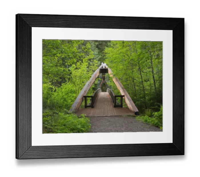 Framed Print : Washington State, Central Cascades. Footbridge, over Middle Fork Snoqualmie River Framed Print : Washington State, Central Cascades. Footbridge, over Middle Fork Snoqualmie River