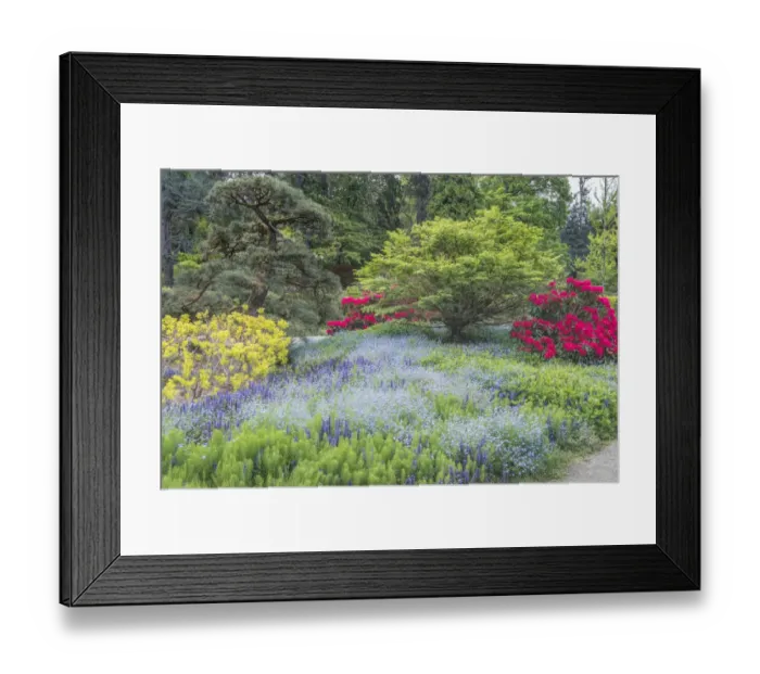 Framed Print : Washington State, Seattle. Kubota Garden Framed Print : Washington State, Seattle. Kubota Garden