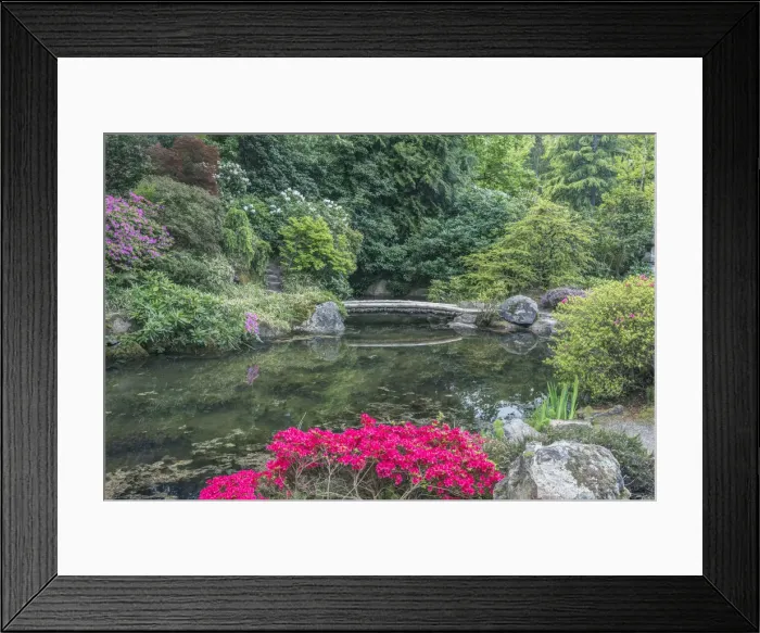 Framed Print : Washington State, Seattle. Kubota Garden