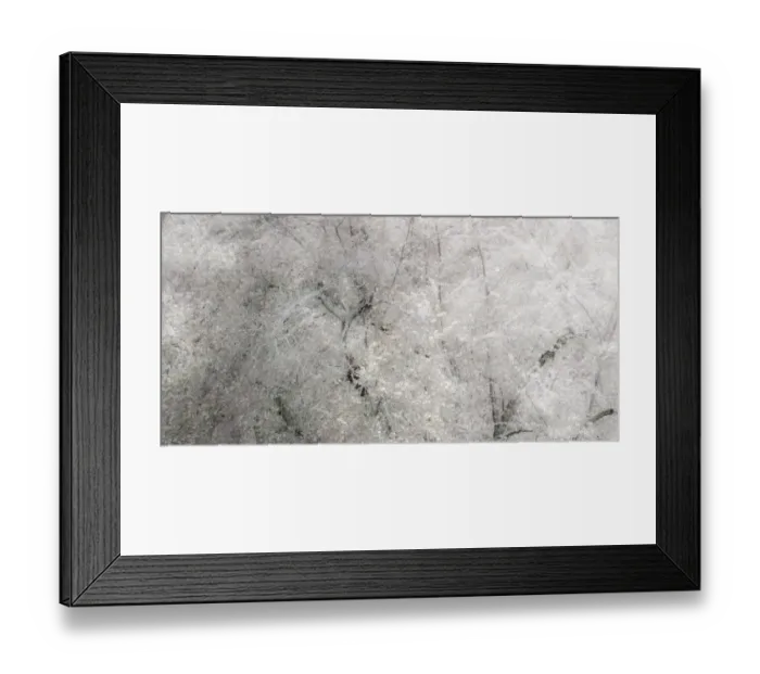 Framed Print : USA, Washington State, Fall City wild cherry springtime blooming Framed Print : USA, Washington State, Fall City wild cherry springtime blooming